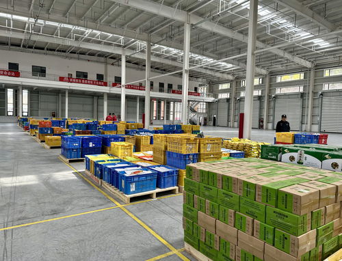 陜北首家京東物流電商倉在米脂投運 榆林農(nóng)特產(chǎn)品駛入數(shù)字快車道